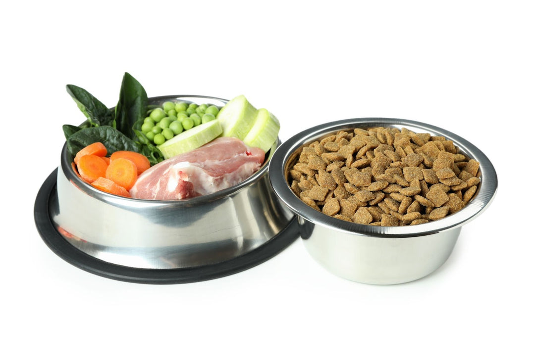 Homemade vs.Store-Bought: Finding Healthy Dog Food Options