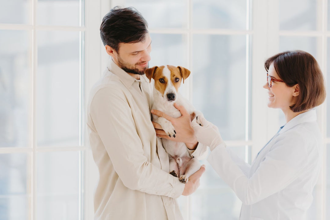 Keep Your Dog Healthy: Top Preventative Care Tips