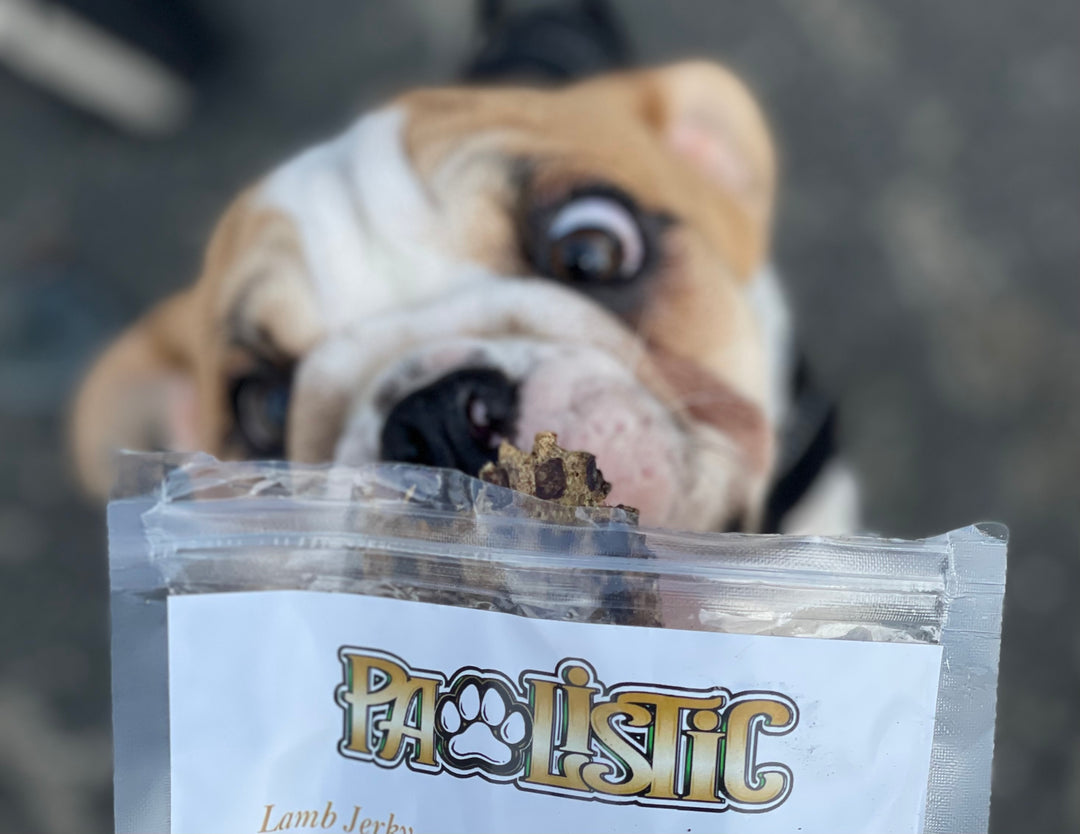 Delectable Dehydrated Treats: A Tail-Wagging Delight for French and English Bulldogs