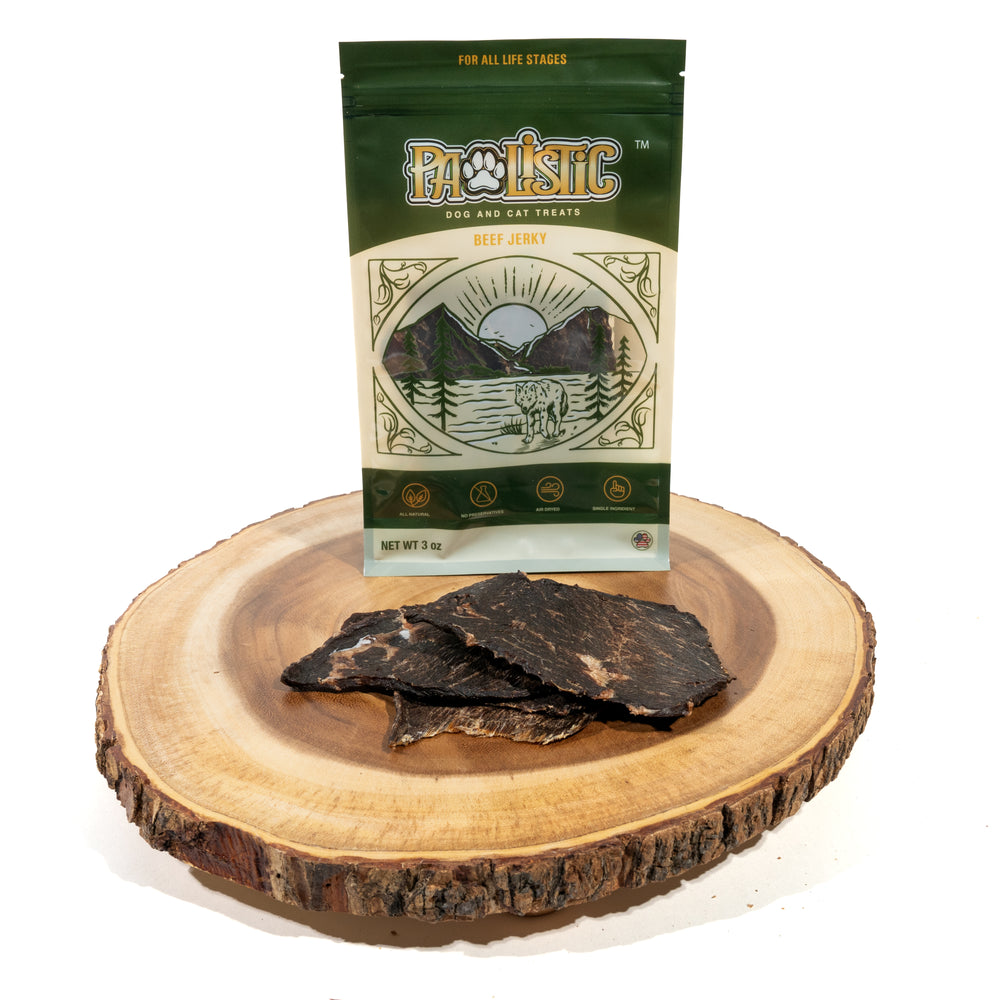 Beef Jerky treats from Pawlistic, packed in a bag.