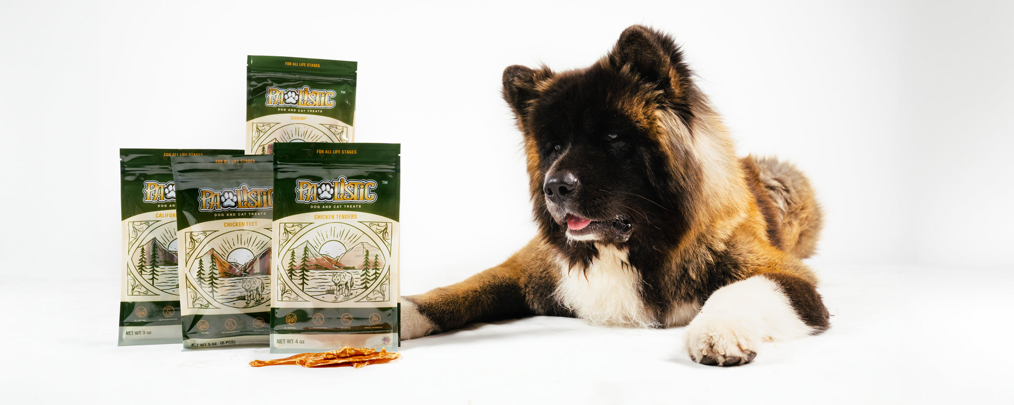 American Akita dog eagerly gazes at a pile of Pawlistic Treats, showcasing the delicious and nutritious pet treats. Enhance your furry friend's joy with Pawlistic's premium treats for a wholesome canine experience.