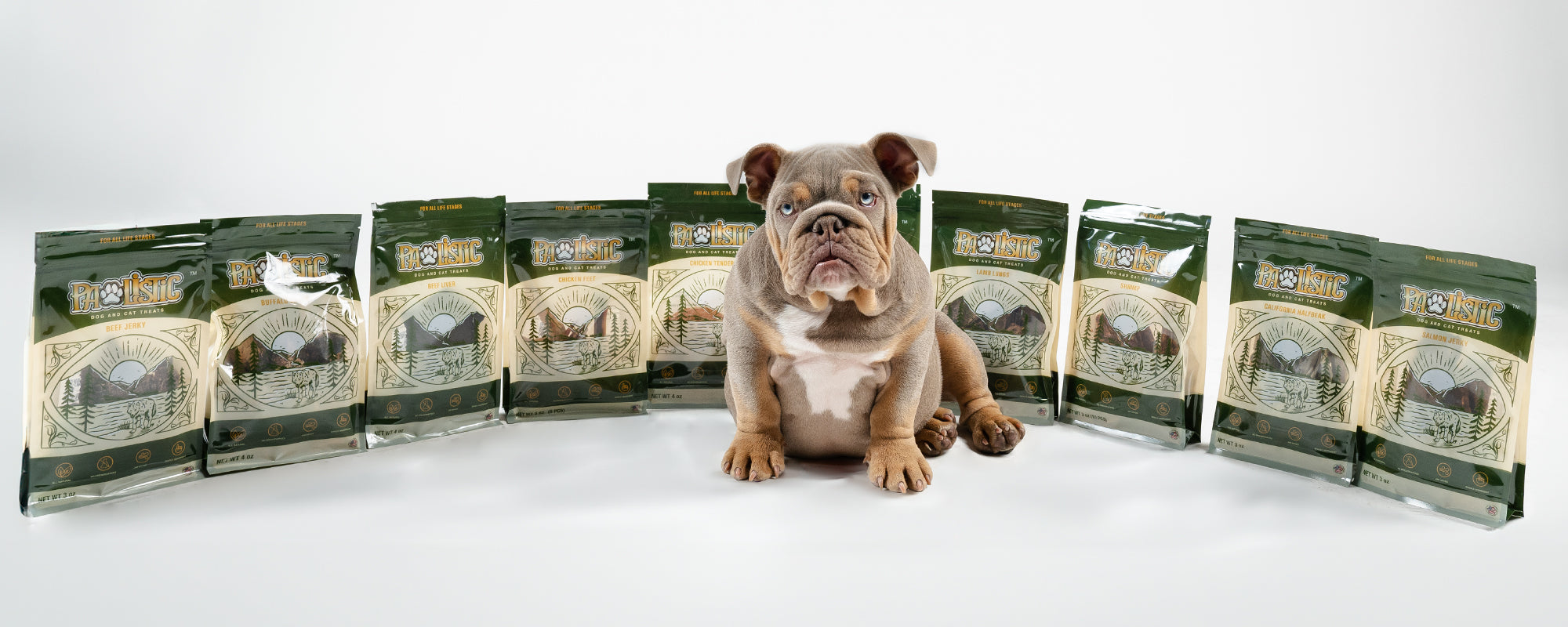 Adorable English Bulldog puppy surrounded by a variety of Pawlistic Treats, specially crafted for dogs in all life stages. Elevate your pet's delight and nutrition with our premium treats designed to complement every phase of their journey.