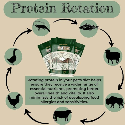 A visual representation delineating the significance of a Protein Rotation diet for both cats and dogs, elucidating the advantages it offers in terms of promoting longevity and overall health.